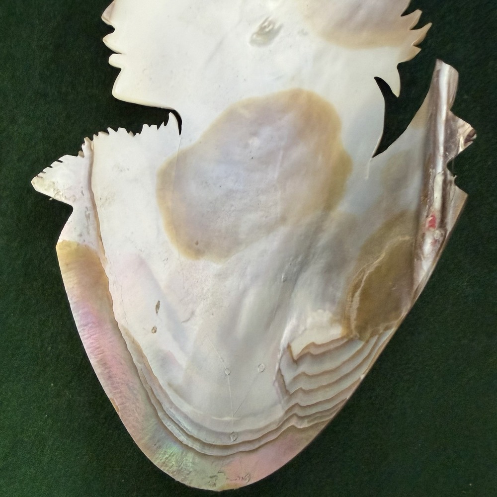 Antique Hand Carved Mother Of Pearl Shell Cameo Large 6-1/2" x 4" Woman Figure - Picture 6 of 15